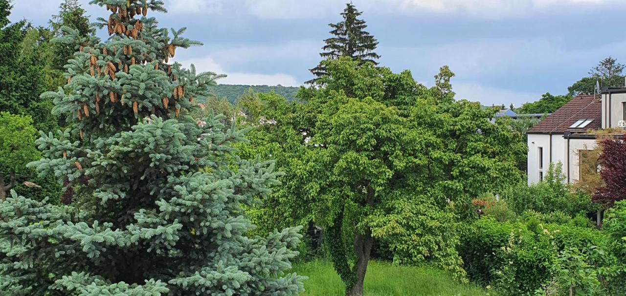 Erhol 'dich Am Berg Appartement