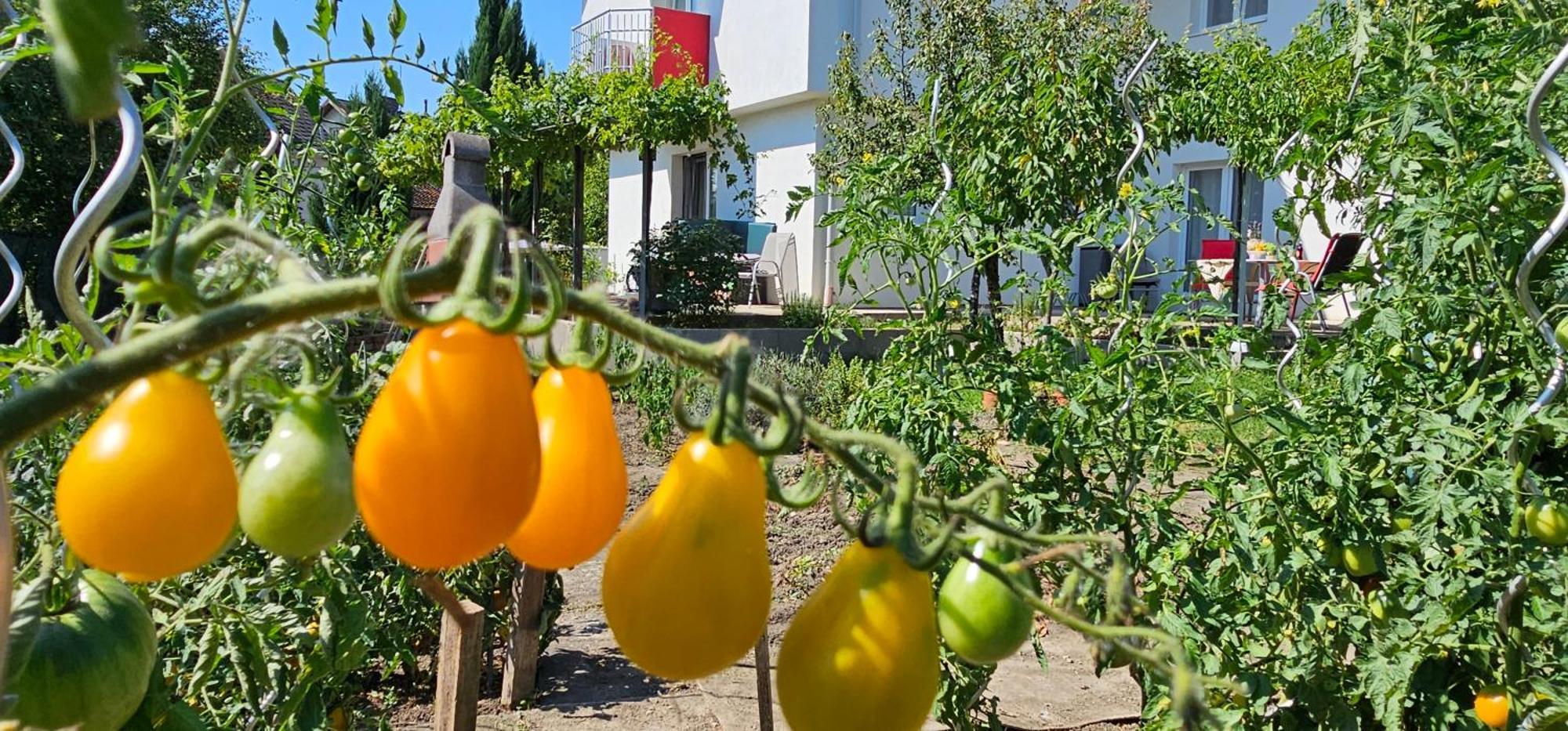 Erhol 'dich Am Berg Appartement Wenen